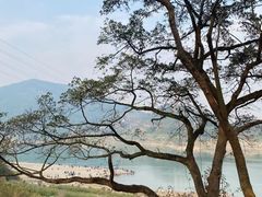 -春涛餐馆(下坝店)