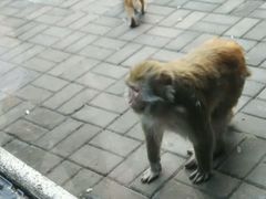 -北京动物园