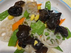 -新侨小馆(东直门北小街店)