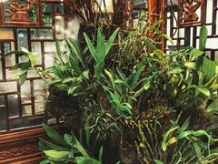 -庆合府重庆大排档(紫都城店)