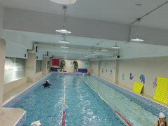 -小蓝鲸游泳培训基地(积水潭店)