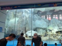 -帝企鹅自助餐厅•儿童岛•真企鹅(长隆企鹅酒店)