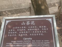 -青岛崂山太清宫