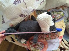 -小田乌鱼排(济宁总店)