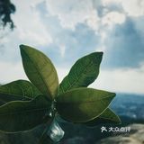 深圳出发丨广州除了小蛮腰还有广州之泪💧