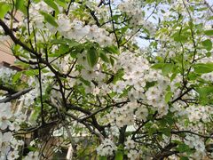 -八角街道·八角南路社区