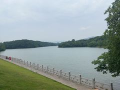-佛手湖郊野公园