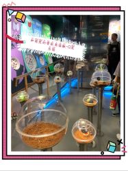 -七巧国萌宠乐园(龙湖天街店)