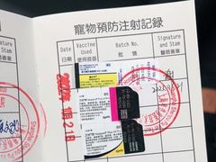 -申普宠物医院·心脏介入·心血管微创(总院)