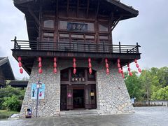 -大唐贡茶院