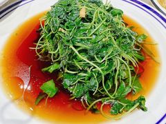 -张鸟园农家乐(张鸟园店)
