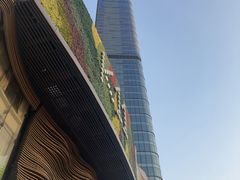 -武汉光谷K11