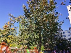 -爱彼格林珑悦幼儿园