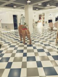 -宝贝天空儿童摄影(花溪店)