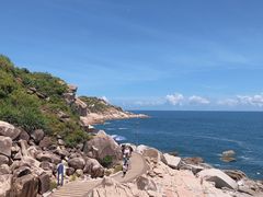 -广东惠东海龟国家级自然保护区