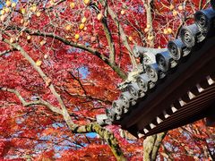 -常寂光寺