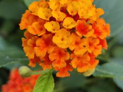 -F518时尚创意园