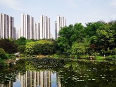 -龙头寺公园