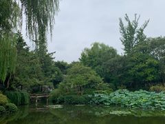 -秋霞圃