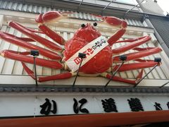 -蟹道乐(道顿堀本店)