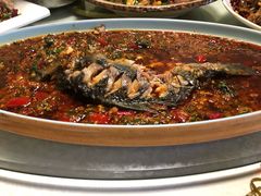 藿香大鲫鱼-马帮寨绿地农庄店