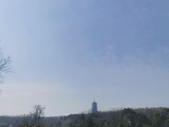-宜兴龙背山森林公园