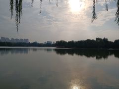 -洛阳市隋唐城遗址植物园