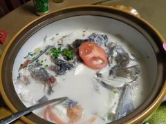 -全乐鱼馆·淳牌有机鱼直营店