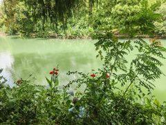 -贵阳市花溪国家城市湿地公园