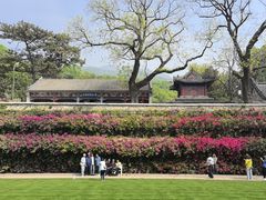 -红螺寺