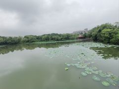 -南京邮电大学(仙林校区)