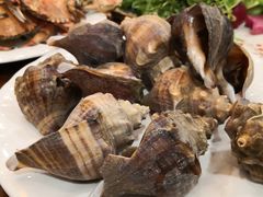 -回香楼大连新派清真菜