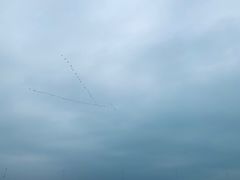 -海堤纪念公园