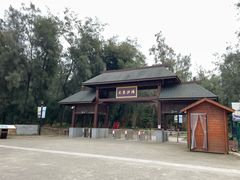 -大京沙滩