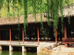 -团结湖公园