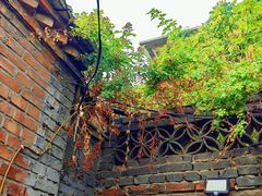 -VOYAGE COFFEE(北锣鼓巷店)