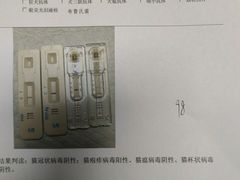 -半岛宠物医院24小时(科华中路店)