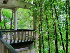 -重庆平顶山公园