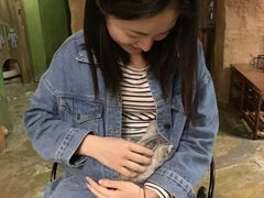 -猫猫幼稚园·撸猫·桌游·电玩