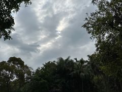 -深圳仙湖植物园