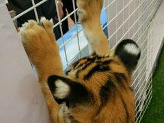 -枫叶小镇奥特莱斯