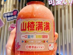 -野萃山·潮汕厚果汁(十亩地店)