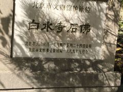 -白水寺森林公园