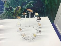 -贝壳王国博物馆