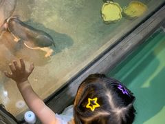 -苏州海洋馆