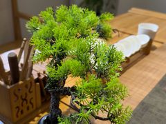 -竹鲜笙全竹宴(国色天香店)