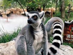 -北京野生动物园
