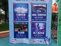 -秦皇岛乐岛海洋王国