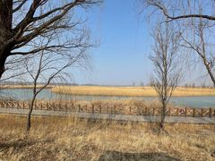 -野鸭湖国家湿地公园