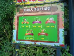-广州长隆飞鸟乐园